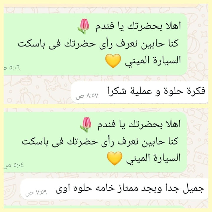 باسكت السيارة الميني (قطعتين) - IDEA