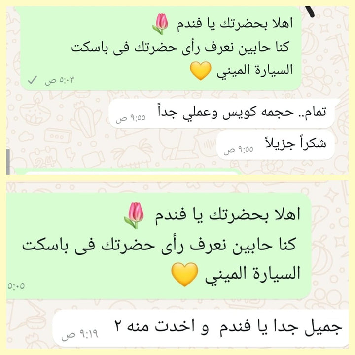 باسكت السيارة الميني (قطعتين) - IDEA