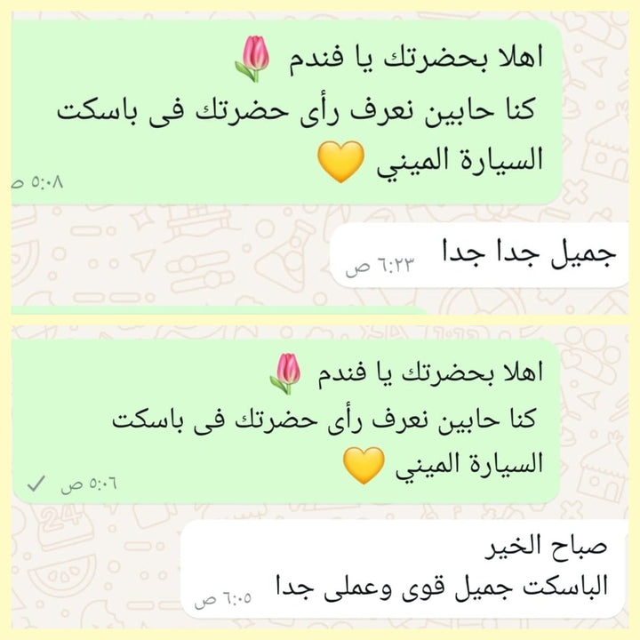 باسكت السيارة الميني (قطعتين) - IDEA