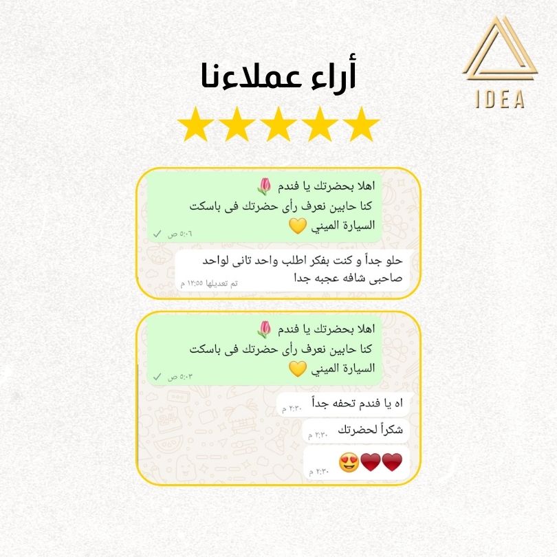باسكت السيارة الميني (قطعتين) - IDEA