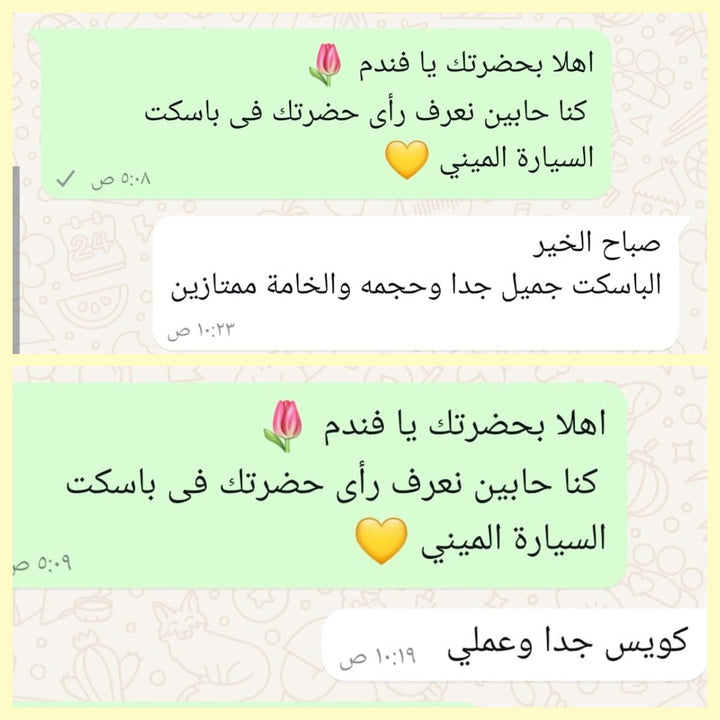 باسكت السيارة الميني (قطعتين) - IDEA