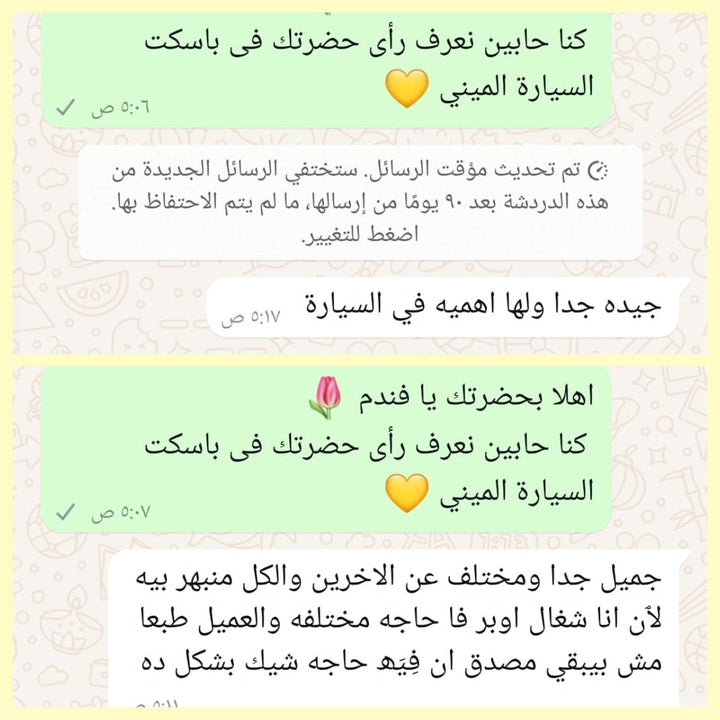 باسكت السيارة الميني (قطعتين) - IDEA