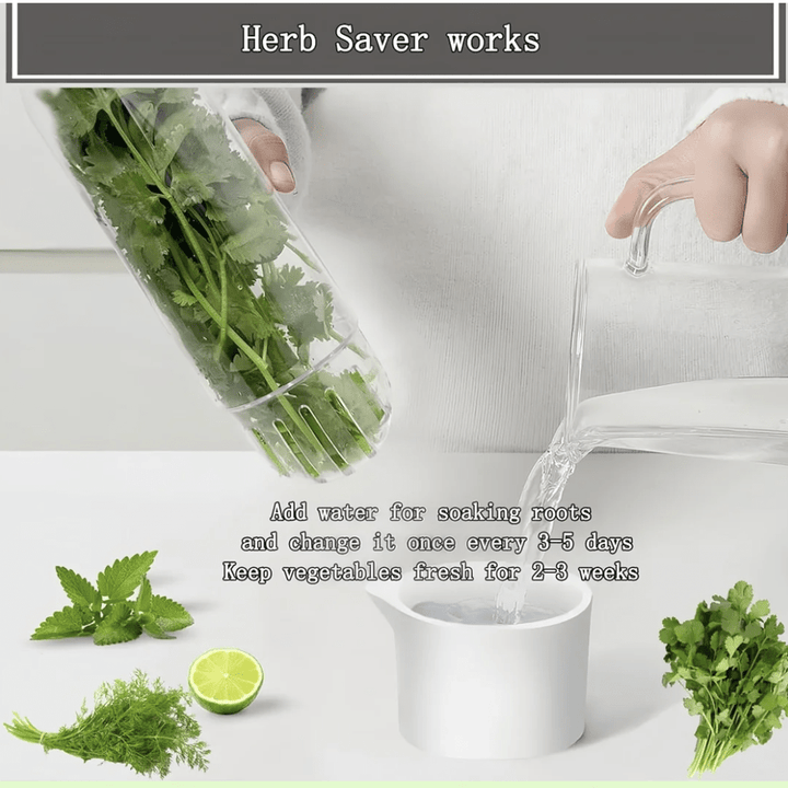 كبسولة حفظ الأعشاب - IDEA