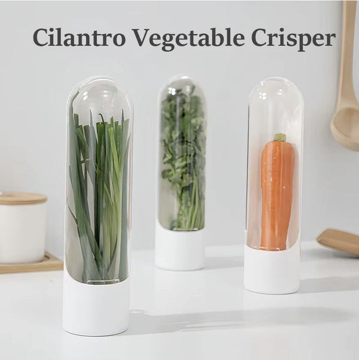 كبسولة حفظ الأعشاب - IDEA