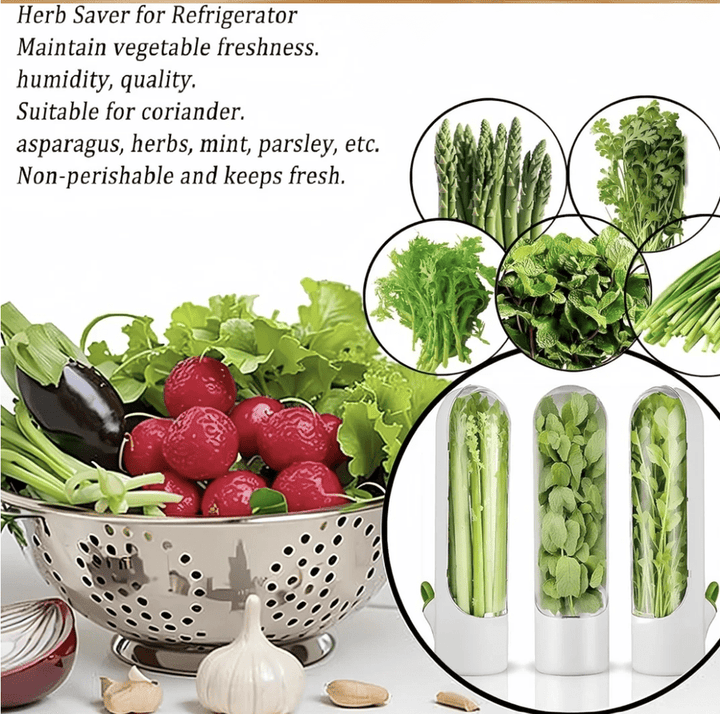 كبسولة حفظ الأعشاب - IDEA